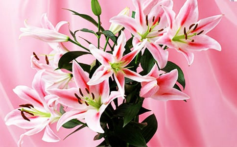 ���ٺϻ����̌W(xu��)��˼���������x10ƪ��