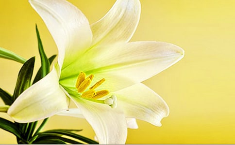 �ٺϻ��Ă��f����