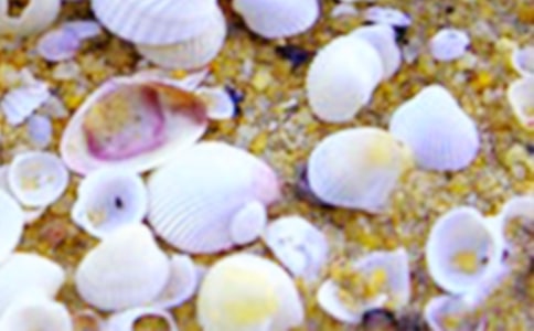 ���ݺ�ؐ��