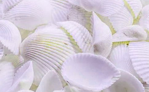 貝殼·劃痕·記憶作文