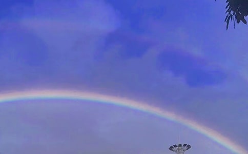 ���еĲʺ����ģ�ͨ��24ƪ��