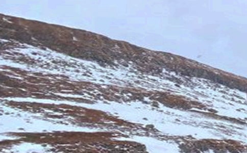 �L��ɽ������ģ�ͨ��24ƪ��