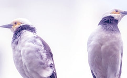 吵架后男生有這些舉動,絕對真愛!