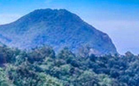 ٝ����ɽ�ă�(y��u)���̾�