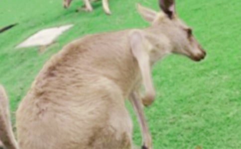 ������������9ƪ����(y��u)�x��