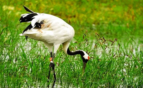 [�ϼ�]����Q����