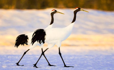 ����Q����12ƪ�����T��