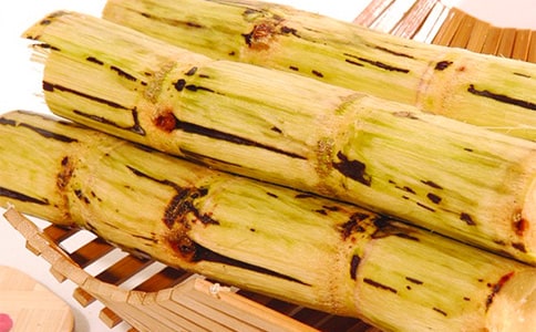 甘蔗的種植技術(shù)