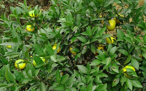 С�i����@�̰�