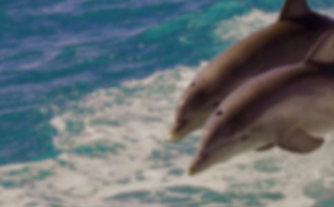 ������������ă�(y��u)�x��8ƪ��