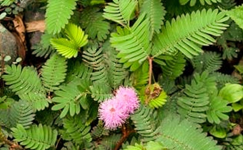 (�])���߲�����