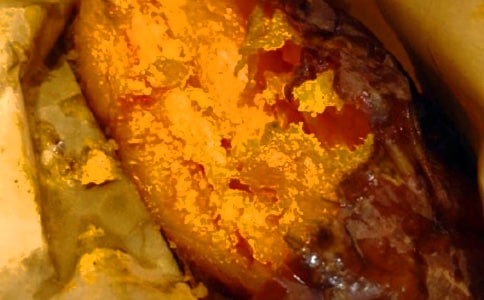 挖紅薯作文通用(15篇)