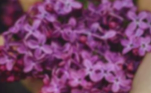 2022年有關(guān)花朵優(yōu)美句子(精選241句)