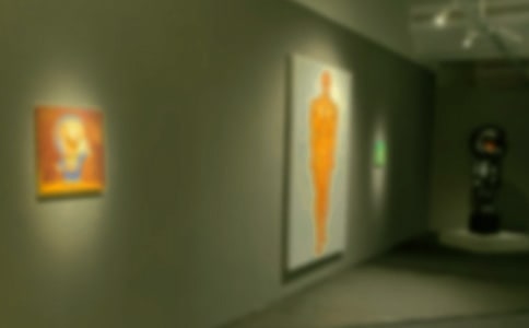 �^��չ����