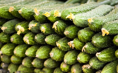 [���T]�S�ϵ�����