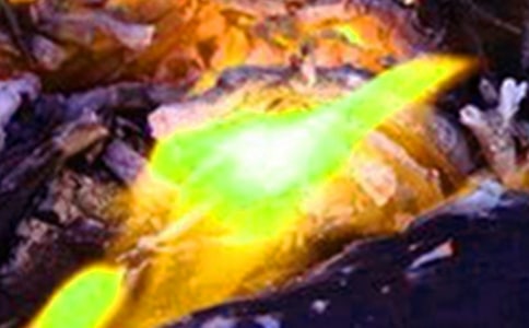 ���(z��i)������15ƪ�����A��