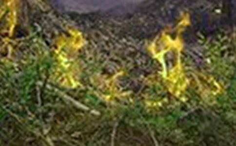 ���������(z��i)���ع�����(b��o)��