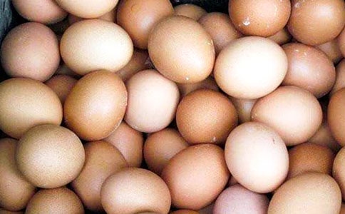 制作彈力雞蛋的科學(xué)小實(shí)驗(yàn)日記