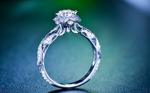 ��ĸ�H�ġ���ָ������x��