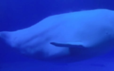 ���ᣩ�L�~����������9ƪ