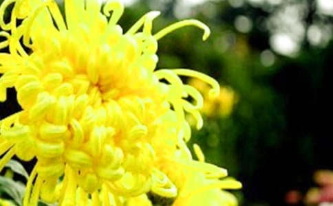 Ԫ�ջ�ȫ�ġ�ע������g���p��