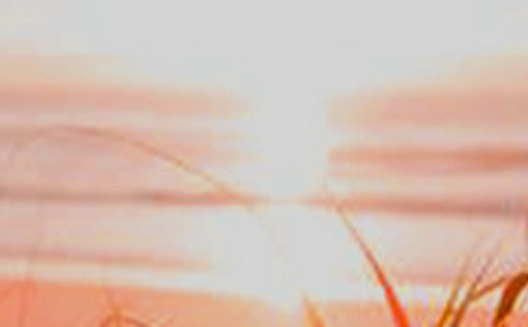 Ԋ��������Ę��