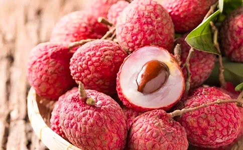 ��֦��x���⼰������