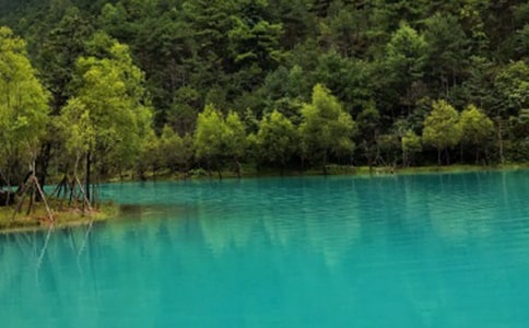  ���ڏV�ݵġ�С�������������@ô���꣬�K��¶������Ŀ��