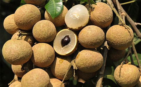 �i�������۵�`�i�Z