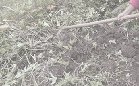 ���r(n��ng)������[�R��15ƪ]