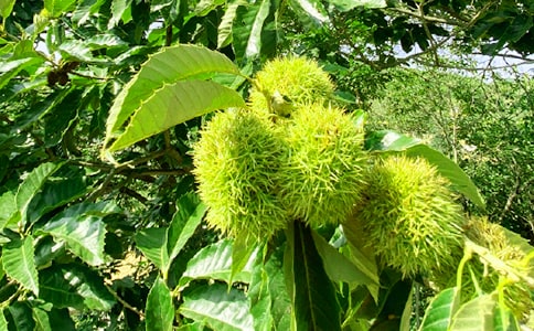 ����(y��u)�㣩�r(n��ng)�Ҙ�����15ƪ