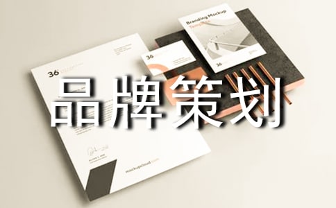 經(jīng)典品牌策劃書(shū)模板