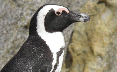 �P(gu��n)�����Z���i�Z(y��)