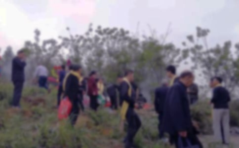 掃墓的作文(共7篇)