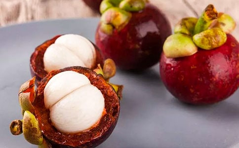 游南山竹海作文