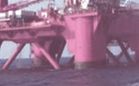 ʯ�ʹ�W�W�������b�����ģ�ͨ��14ƪ��