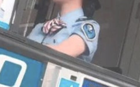 ���M�T���������