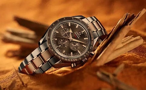 (熱門)我的新手表作文11篇