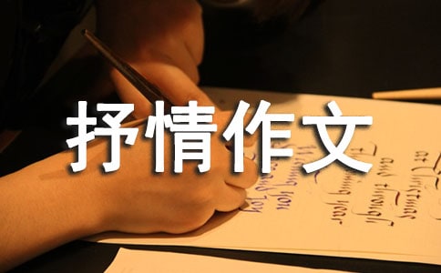 孤獨(dú)抒情作文