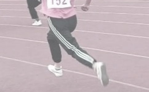 ��Ӗ(x��n)�����Y(ji��)��ƪ