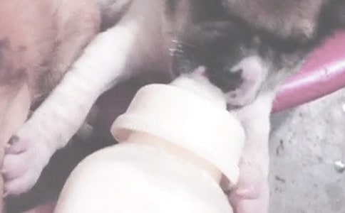 ��ƿι�̵����_�˄�