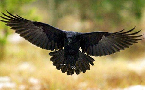 ���f��ˮ�¾�����[ͨ��9ƪ]