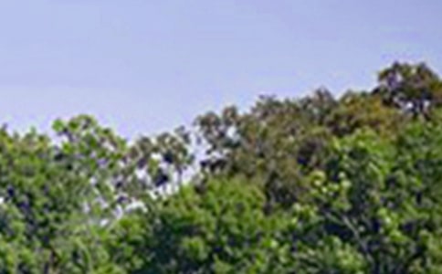 �P(gu��n)��Ψ���簲�İ��R��90�侫�x