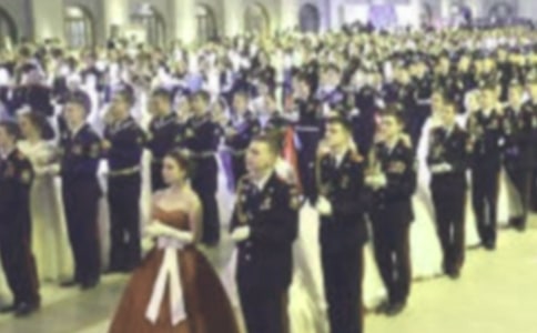 ɭ�����������