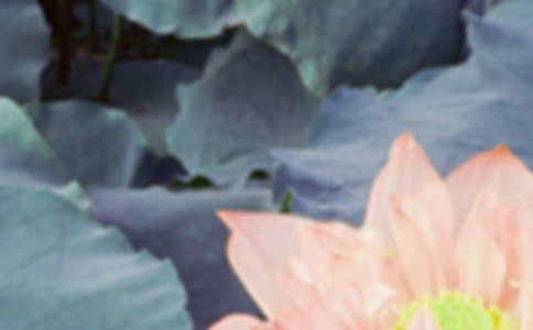 �茑�����ă�(y��u)������