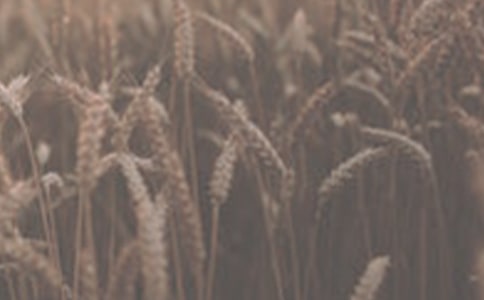 С��������