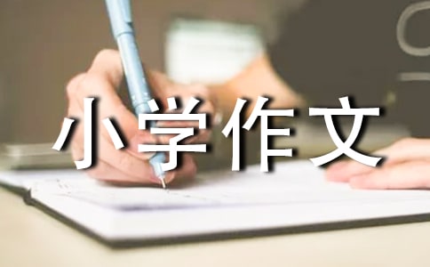 我愛我家_小學(xué)作文