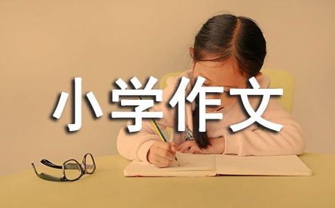 信任小學(xué)作文