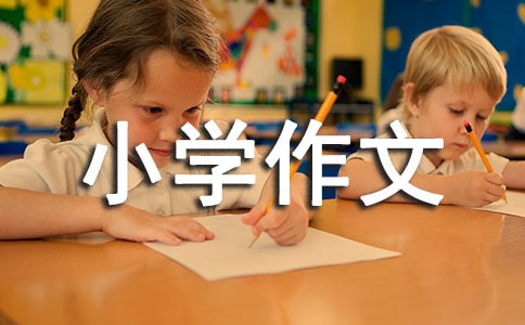 【精品】小學(xué)作文700字集錦十篇