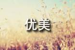 關(guān)于愛的優(yōu)美句子